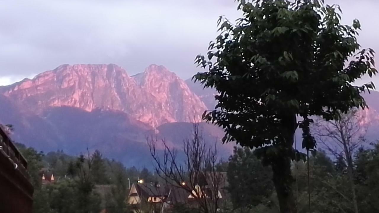 Willa U Zofii Zakopane Exteriör bild